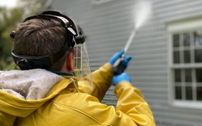 Top House Washers Auckland: Reliable Cleaning Solutions for Your Home