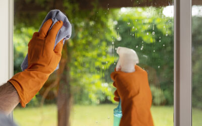 When is the Best Time to Wash Your House? Seasonal Tips for Auckland Homeowners